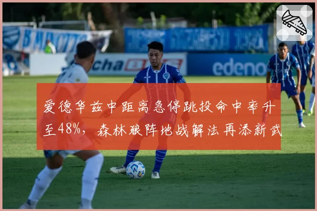 爱德华兹中距离急停跳投命中率升至48%，森林狼阵地战解法再添新武器__br_
