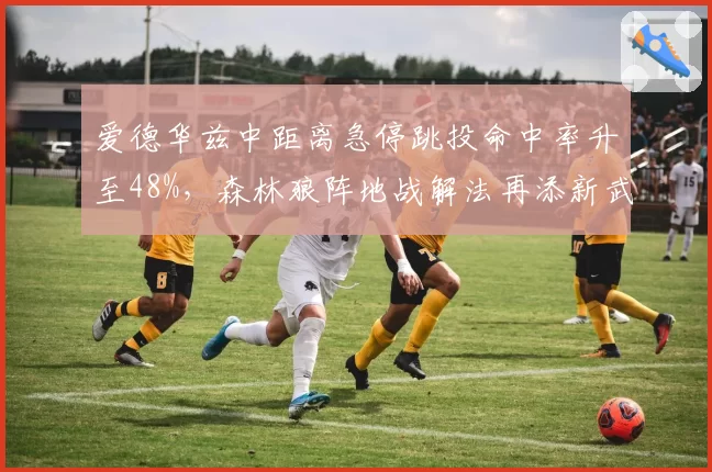 爱德华兹中距离急停跳投命中率升至48%，森林狼阵地战解法再添新武器__br_