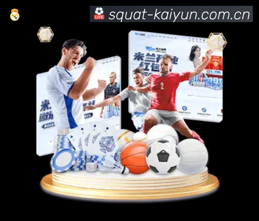 安全使用与支持流程